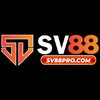 Avatar of sv88procom