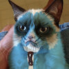 Avatar of marul
