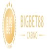 Avatar of bigbet88vninfo