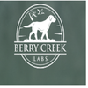 Avatar of berrycreeklabs