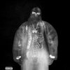 Avatar of Plotnik