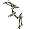 Avatar of antileague786