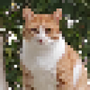 Avatar of tuntunoyt