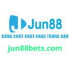 Avatar of Jun88 Bets