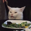 Avatar of shadowolfie