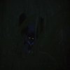 Avatar of Idropb0di3s