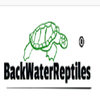 Avatar of Back Water Reptiles And Lizards Monito