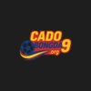 Avatar of 9org cadobongda