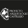 Avatar of Castillejo
