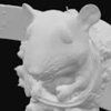 Avatar of John pork