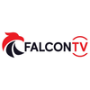 Avatar of iptvfalconpro
