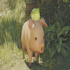 Avatar of charlie_olds