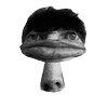 Avatar of tul3n