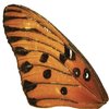 Avatar of u110022039