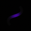 Avatar of sprtkle