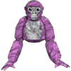 Avatar of disarioashley