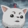 Avatar of MsRainwater