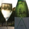 Avatar of CavasPremium