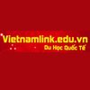 Avatar of vietnamlink