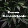 Avatar of Denver Clones And Seeds