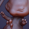 Avatar of Shyailu
