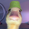 Avatar of Gamerslingerchicken9
