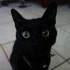 Avatar of carmilla