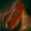 Avatar of discordadam02