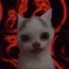 Avatar of EVILCAT