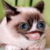 Avatar of demonlordx64