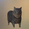 Avatar of lemonlepon