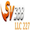 Avatar of SV388