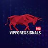 Avatar of VIP Forex Signals Pro