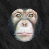 Avatar of ThatOneMonkeyGuy