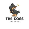 Avatar of The Dogs Lifestyle