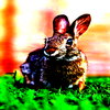 Avatar of Verysillydwlover