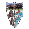 Avatar of Willho1