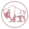 Avatar of asistdisenoIBL