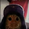 Avatar of Gato sovietico