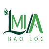 Avatar of lamiabaolocs