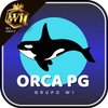 Avatar of orcapgapp