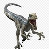 Avatar of JayMoney123