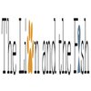 Avatar of thelionandfish