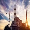 Avatar of Cami Halısı Fiyatları
