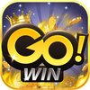 Avatar of gowin