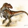 Avatar of sithman91