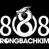 Avatar of rongbachkim8