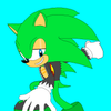 Avatar of Sonic plushie memes