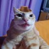 Avatar of Nge669