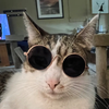 Avatar of dieg0Us